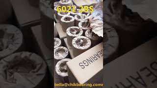 6021 2RS deep groove ball bearing price list