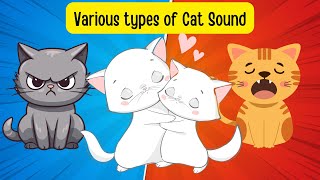 🐱 Understanding Cat Communication: Meows, Purrs, and More! | #TopKidsLearning 🐈