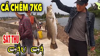 Cao thủ câu cá chẽm nặng 7kg | Giant fishing