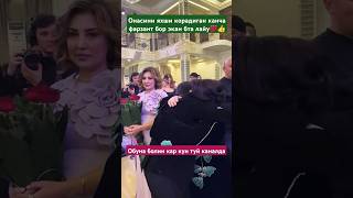 КИЁВ ТУЙИДА ОНАСИГА ГУЛ СОВГА БЛАН ТАБРИКЛАДИ #cover #той #свадьба  #musica #тикток #wedding #тренд