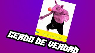 un cerdo de verdad