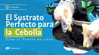 Cómo hacer un sustrato para cultivo de cebolla en maceta