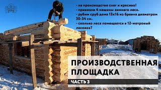 Дома из бревна. Производственная площадка. Часть3