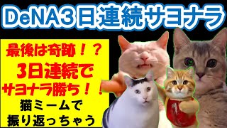 【猫ミーム】奇跡が起きたDeNAの3試合連続サヨナラ