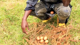 Umugabo wo mukarere ka Burera ateye amagi 😭😭