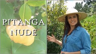 PITANGA NUDE | Madame das Frutas