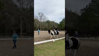 Dressage clinic!//flash ⚠️//