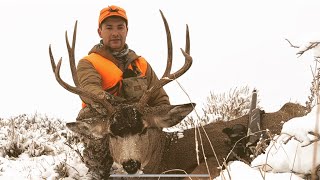 Colorado Mule Deer Hunt