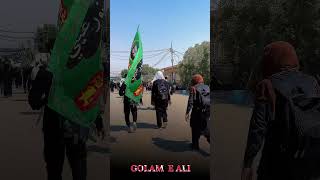 Arbaeen Walk Status | Safar e Ishq e Hussain 2024 #Arbaeen #arbaeenwalk #arbaeeen2024