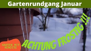 Gartenrundgang Januar | Achtung Frostig !!!