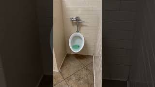 Louder powerful Toto urinal at cec n 10th and Trenton McAllen Texas