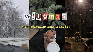 VLOGMAS|мои обычные дни, покупаю подарки 🎄✨📸