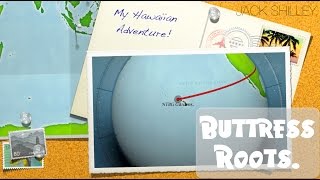 Buttress Roots | Jurassic Park | My Hawaiian Adventure | Jack Shilley