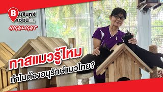 ทาสแมวรู้ไหม ทำไมต้องอนุรักษ์แมวไทย?