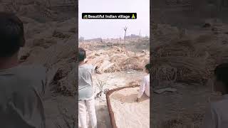 Show beautiful Indian village #shorts#viral#village lifestyle in India