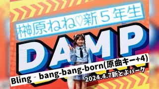 【榊原ねね♡新5年生】Bling‐bang-bang-born/Creepy Nuts(原曲キー+4)歌ってみた🔰2024.4.7「DAMP」新とよパーク(愛知県豊田市)