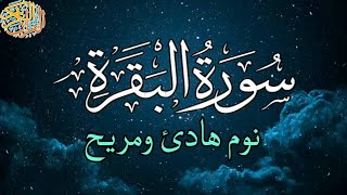 سورة البقرة 💚تلاوة قرآنية هادئة لحفظ وتحصين البيت والأهل والأولاد من العين والحسد والسحر ‼️