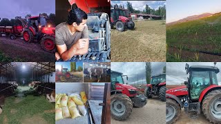 Traktörler,Çiftlik Hayvanları,Tarım bitlikleri | Baştan sona Yılmaz Çiftliği  #agriculture #farm