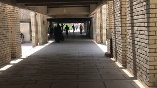 #حفلة_تخرج_الجامعة_المستنصريه