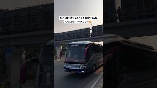 BUS SAN GANTENG BANGET YANG INI