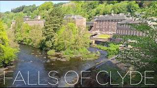 Inverclyde Ramblers | Falls of Clyde, New Lanark, 13 May 2023