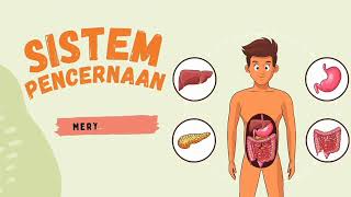 Media Pembelajaran Sistem Pencernaan  untuk SMA Kelas 11