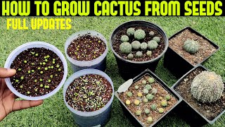 Grow Cactus From Seed|100% SUCCESS RATE