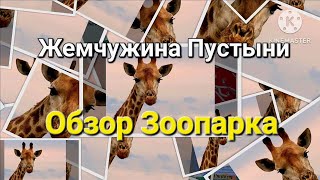 Жемчужина пустыни.Обзор зоопарка в Беер-Шеве/ מידבאריום#zoo #животные#пустыня