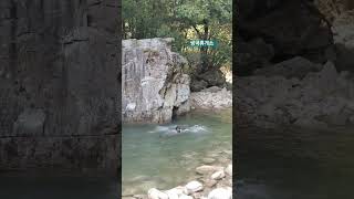 🏊‍♀️ பள்ளத்தாக்கில் நீச்சல்! #쌍곡계곡 #ssangkokvalley #swimming #nature #korea #explorekorea