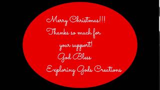 Christmas wishes to all our supporters!!!