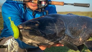 Tararira Monstruo en Invierno | Pesca Tarariras Uruguay