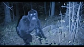 THIS IS SCARY!! THEY HEARD RUSTLING IN THE WOODS AND CAPTURED THIS ON CAMERA!!