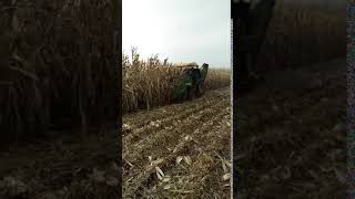 Corn maize harvester 2