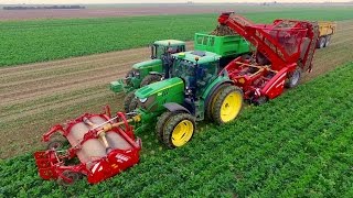 Harvesting Celeriac | Grimme Rootster 604 & John Deere 6150R | Knolselderij rooien C Breure en Zn