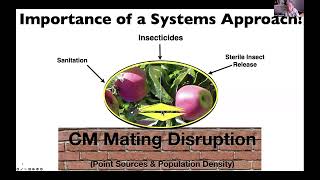 Codling Moth Mating Disruption