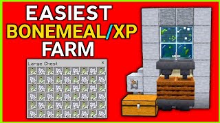 Kelp XP Farm Minecraft 1.20