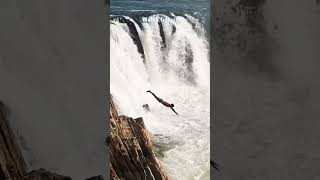 The dive #nature #madhyapradesh #travel #dhuandharfalls #dhuandhar