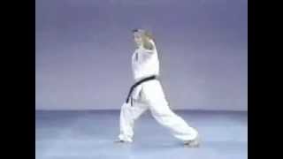 Pinan sono Yon Kyokushinkai kata KYOKUSHIN KATA @karatezine