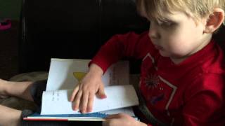 2 year old reading (VEDA 8/9)