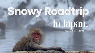 Snowy Roadtrip in Japan 🇯🇵  | Nagano Snow Monkey Park, Togakushi shrine, Narai Juku, Kustatsu Onsen