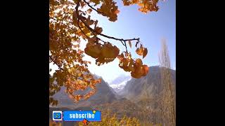 When Autumn is Around The Corner in Hunza, Pakistan, Part 2 #Beautyofpakistan1 #AmazingNature