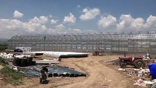 Grow: Turkey, greenhouses in the Afyon area