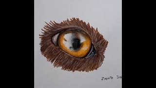 Dibujo realista |Drawing an eye