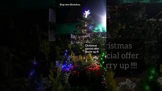 hurry up!!! #gardening #christmas #christmasoffers #youtubeshorts #youtube #new #nature #shorts