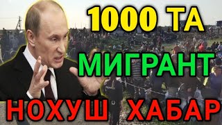 1000 ТА МИГРАНТ ХАҚИДА ТЕЗКОР НОХУШ ХАБАР МИГРАНТЛАР ОГОХ БУЛИНГ