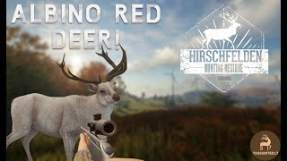 Albino Red Deer with the .243! | Layton Lake Trophy Cabin Ep. 1 | #thehuntercallofthewild