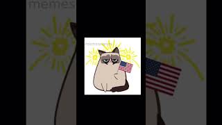 It’s not just a normal cat - Grumpy cat - Tardar Sauce #idol #cat #memes