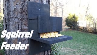 Homemade Squirrel Feeder