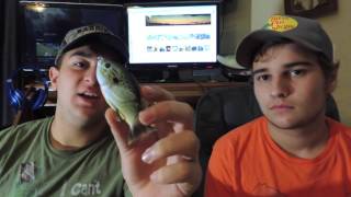 Top pond bass fishing baits(Bass fishing tips)