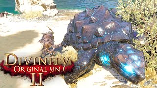 DIVINITY ORIGINAL SIN 2 key to winning is having ....